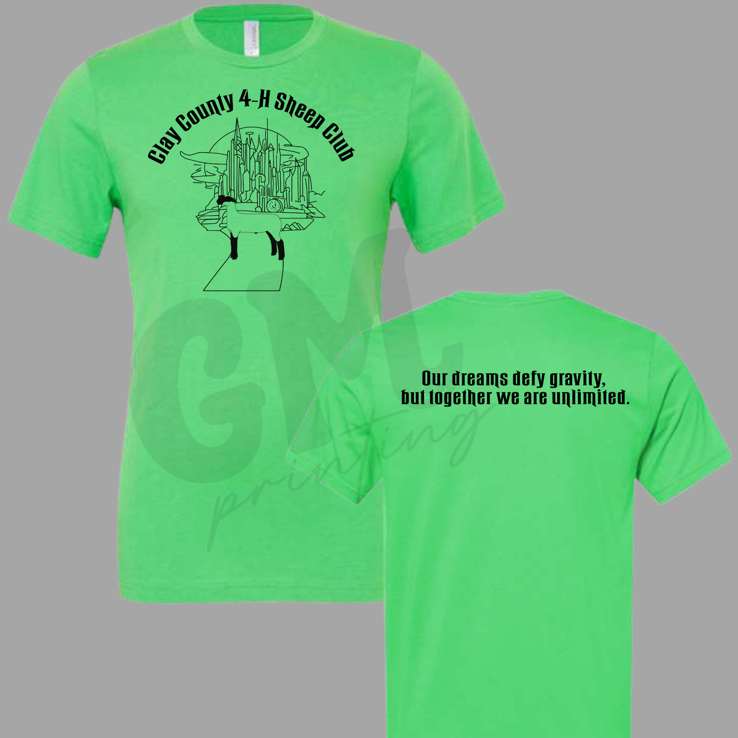 Clay County 4H Sheep Club 2025